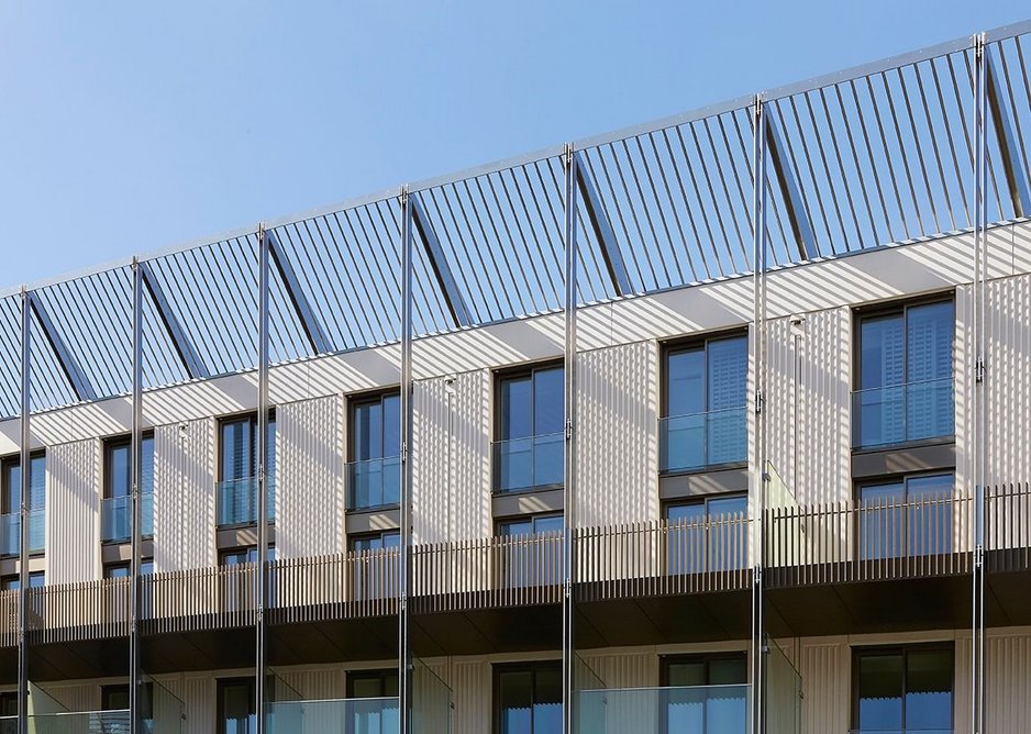 Steels hold the canopy looking optimistically upwards.