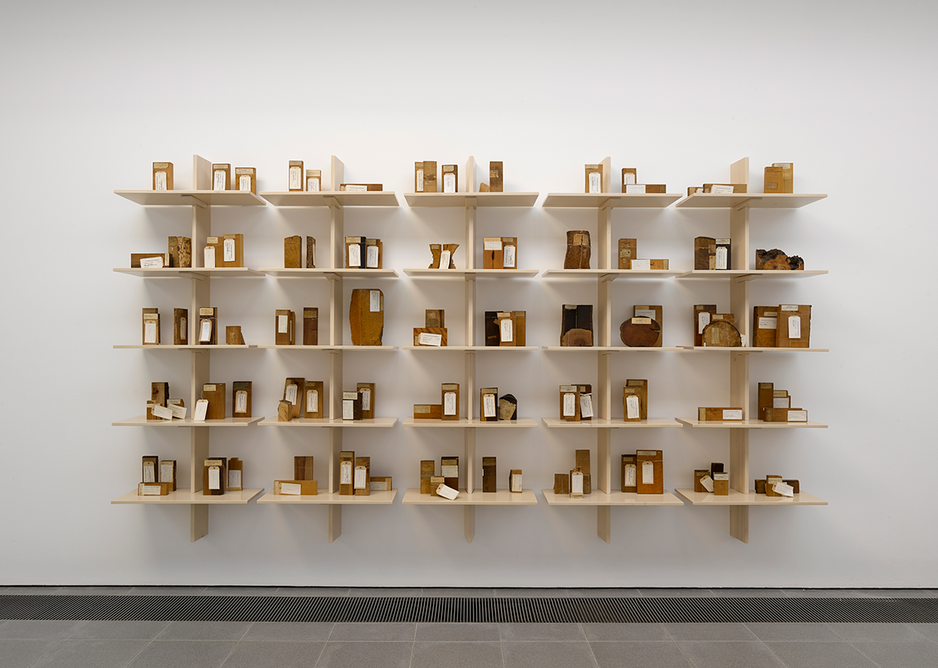 Installation view of Formafantasma: Cambio at the Serpentine Galleries, London. Photo credit: George Darrell. The display shows smaller samples from The archive of lost forests, 2020, samples from the Economic Botany Collection at Kew Gardens.