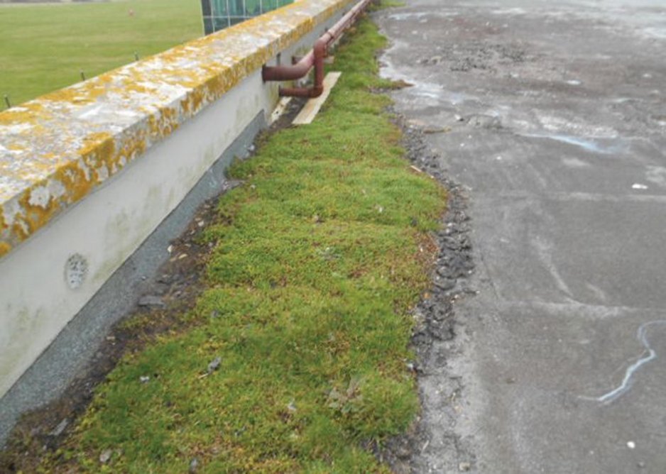 Ponding water can also lead to moss growth and detritus build-ups, both harmful to a flat roof’s longevity.