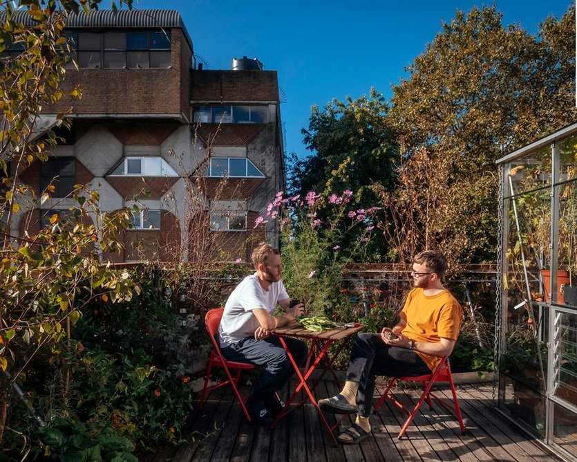 The roof terrace is a green oasis in the middle of Peckham.