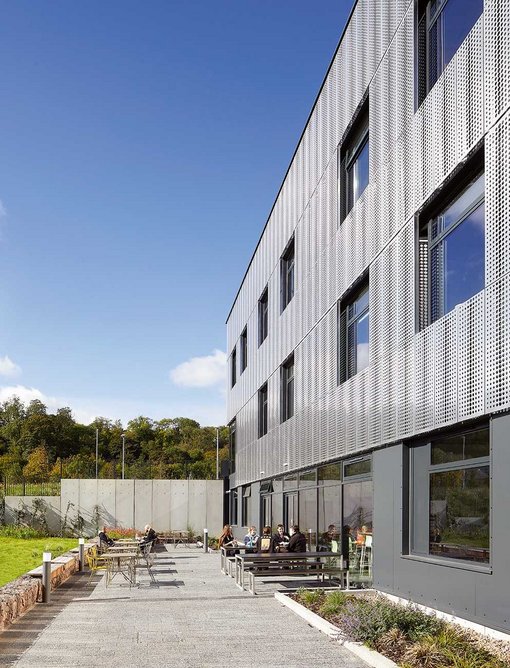 The canteen terrace faces onto a pond that will be surrounded by a bank of wild flowers.