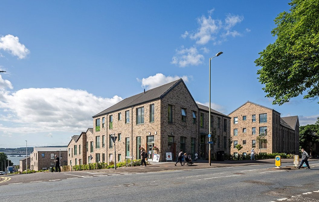 Ellengowan Regeneration.