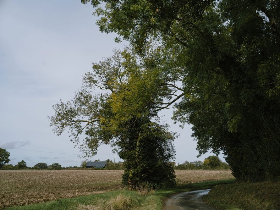 Jankes Barn.