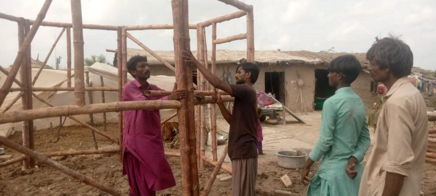 Building an emergency shelter: constructing the bamboo structure.