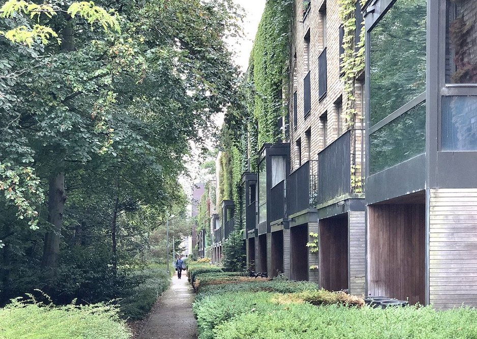 Mature landscaping engulfs well proportioned townhouses by Maccreanor Lavington