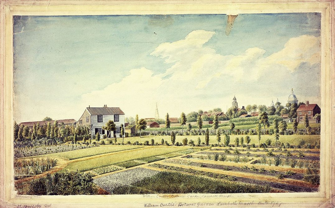 William Curtis’s Botanic Garden, Lambeth Marsh, c.1787 by James Sowerby.