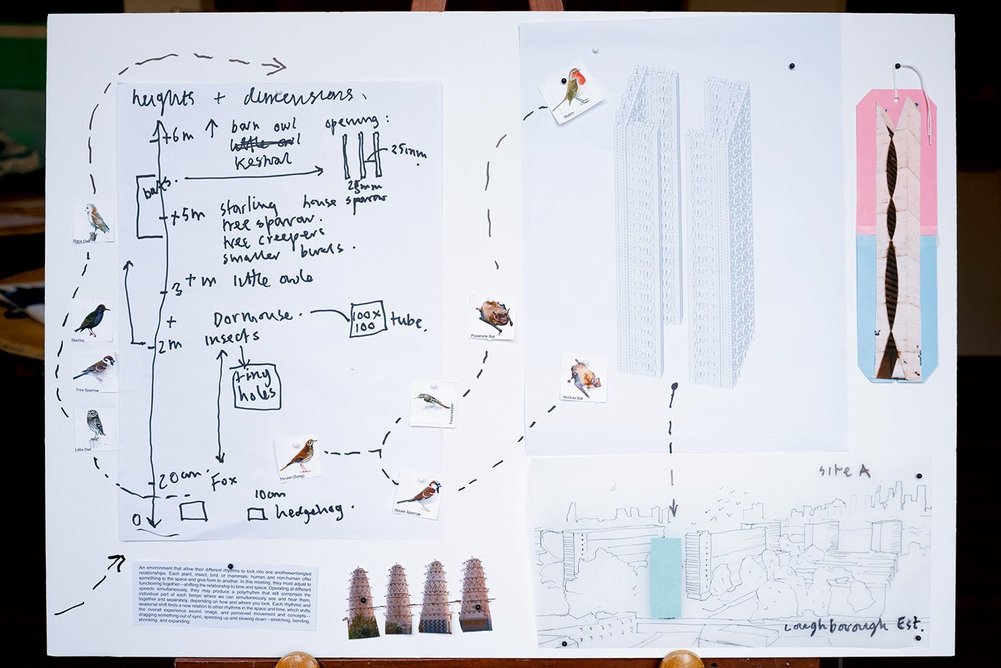 The proposal draws on precedents including mud brick dovecotes in Sharm El Shaik, Egypt.