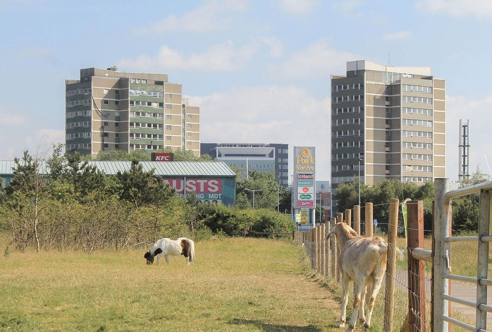 View from the expanded paddock behind the farm on the path connecting Bog Meadows to the city centre.