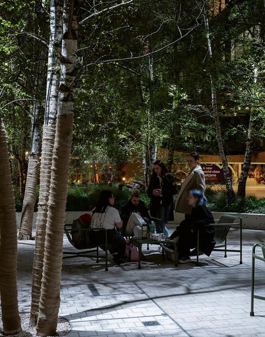 Uplighters and downlighters are positioned among the silver birches to celebrate the bark and foliage.