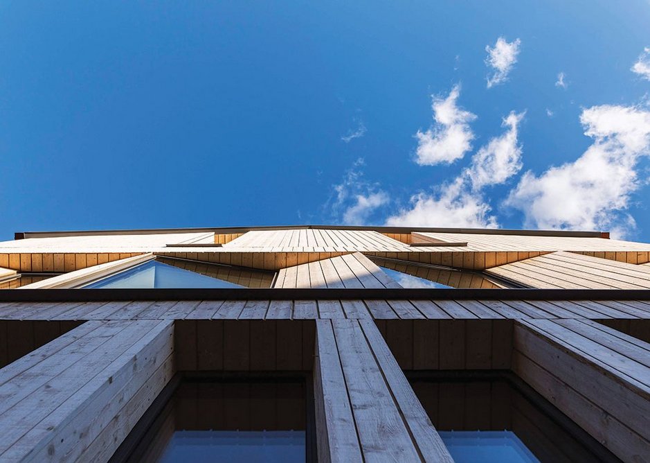 Looking up at the Organowood pre-fossilised timber rear extension.