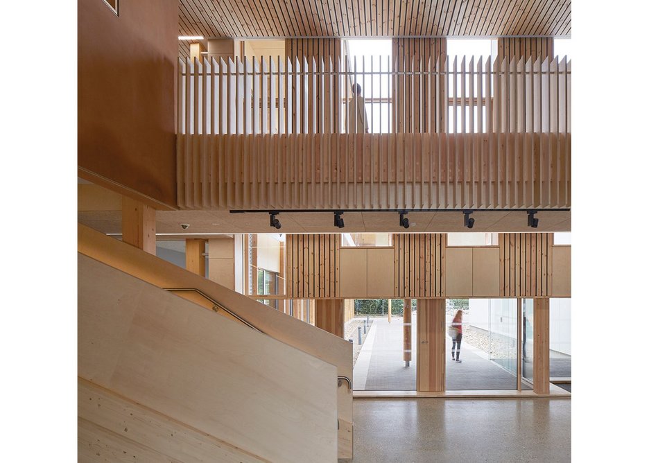 Sixteen timber products include ceiling  slats and CLT, visible here, as well as  glulam, softwood from nearby Thetford Forest and iroko recycled from  Lasdun lab desks.