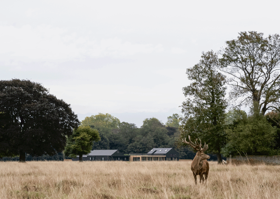 From a distance, the pavilion blends into the landscape – it doesn’t even disturb the wildlife.