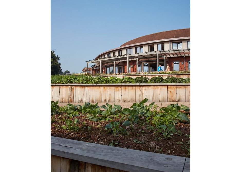 Growing spaces alongside the curve of the old building.