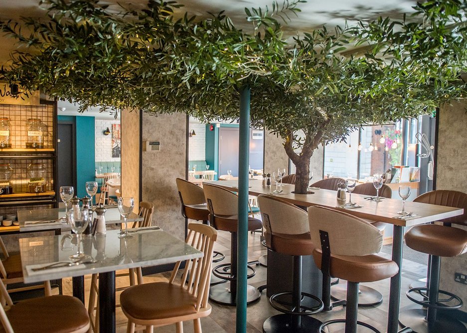 Level Set wood and stone-look tiles complement the olive tree feature in Prezzo's Bracknell branch.