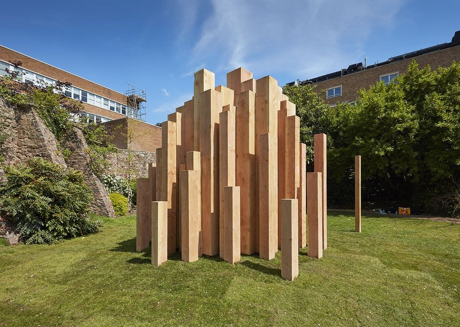 Douglas fir forms the shell of Hollow, an installation made up of thousands of tree species.