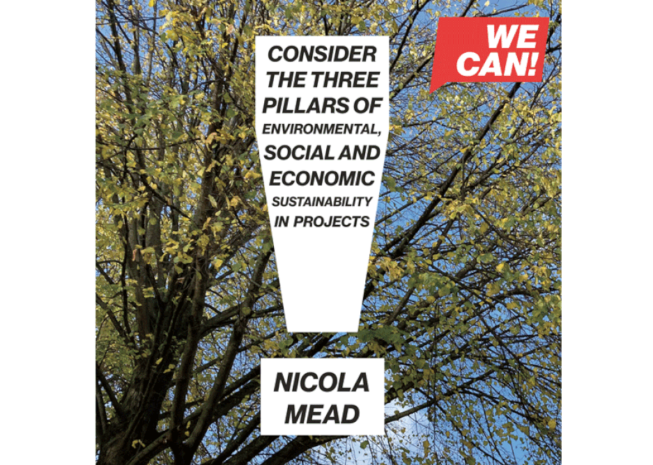 Climate action pledge from Nicola Mead, WE CAN student co-founder, for WE CAN action installation, November 2020.