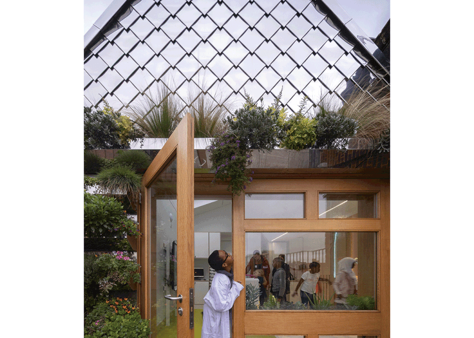 A green wall teaches pupils about biodiversity.