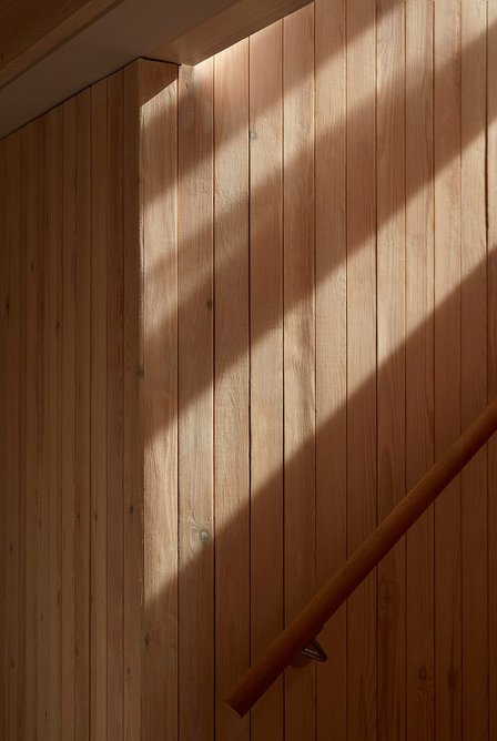 The Library House in Clapton, east London, by Macdonald Wright Architects