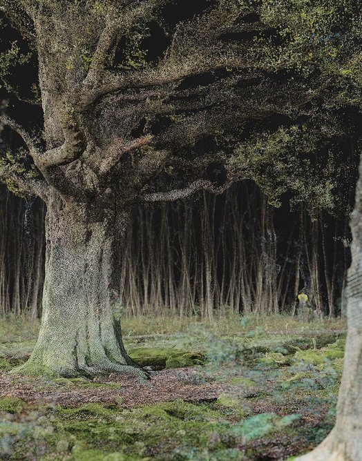 Using our inherited woodland 594mm x 420mm. Perspective through collaged point cloud models obtained through neural radiance fields, re-lit in Blender.