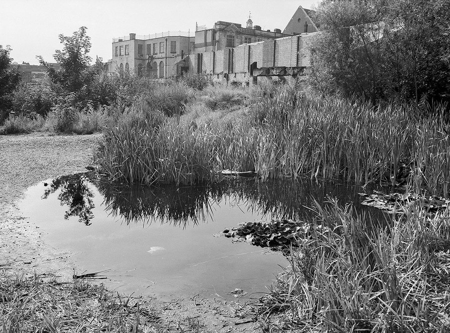 William Curtis Ecological Park (1977-1985).