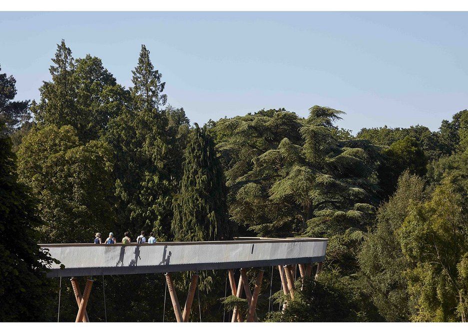 Stihl Treetop Walkway by Glenn Howells Architects, Commercial & Leisure Winner 2016.
