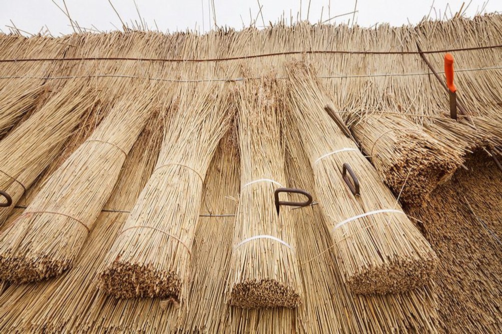 Reed bundles, laid using traditional tools: knives, leggetts, mallets and set pins.