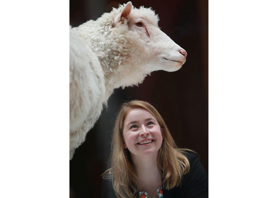 That's Sophie Goggins, assistant curator of biomedicine (right), with Dolly the Sheep (left, stuffed).