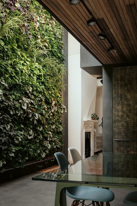 A lush green wall is a showpiece feature of the rejuvenated kitchen at House of the Elements.