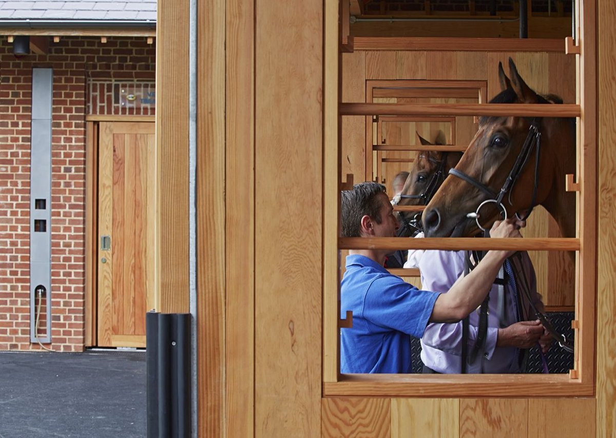 Saddling boxes have been fitted with power and water for added convenience.