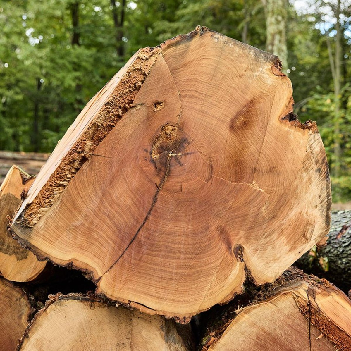 American Hardwood Exports – America's Leading Manufacturer of 3/4 Lumber!