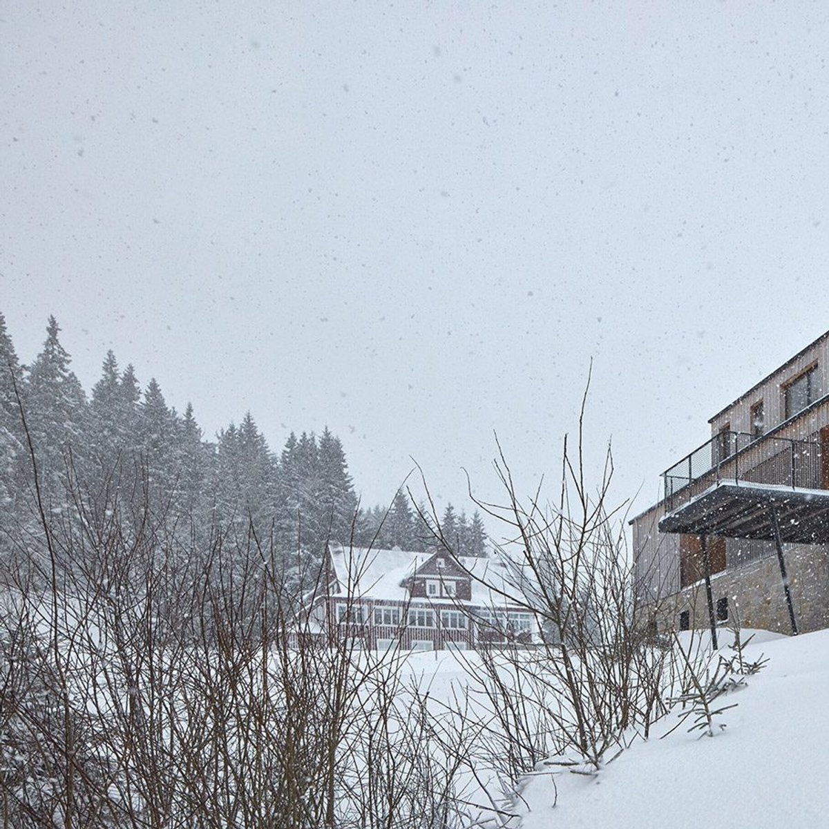 Mar.s Architects uctívá zamrzlé horské prostředí s rodinným domem Cecchia