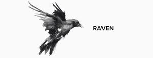 Raven Style