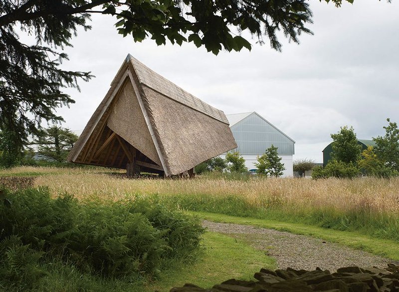 A roof of reeds cut from the Shannon.
