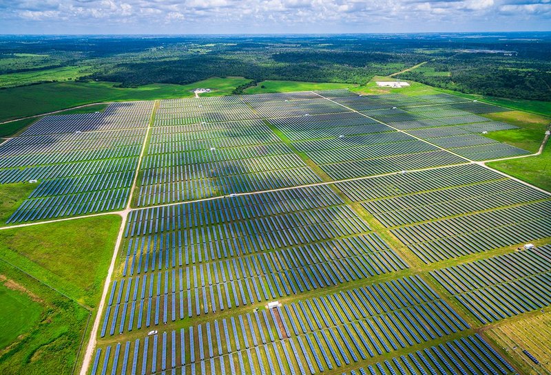 Soaking up the rays at a solar farm. Infinitely better than watching the world burn.