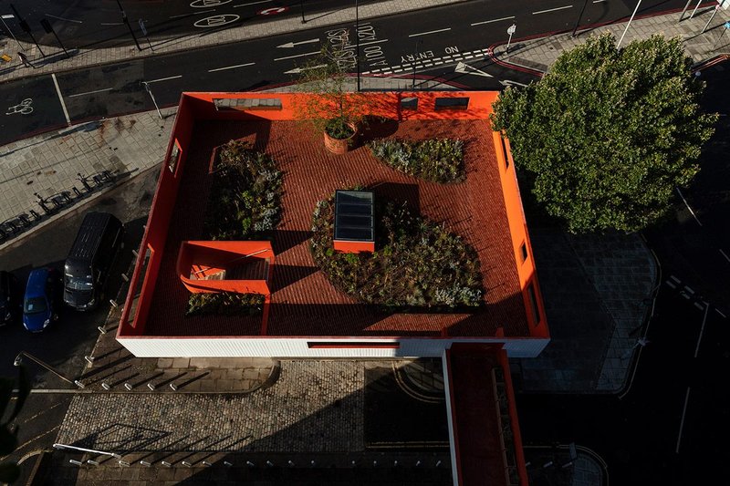 Sanchez Benton collaborated with planting design expert Nigel Dunnett on the Peveril Gardens public garden and studio, a repurposing of a garage block in Bermondsey, south London. Credit: Oskar Proctor