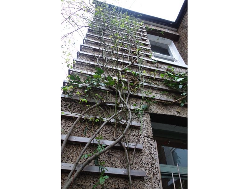 External cork insulation of a Victorian end-terraced house in south London by Venner Lucas Architects.