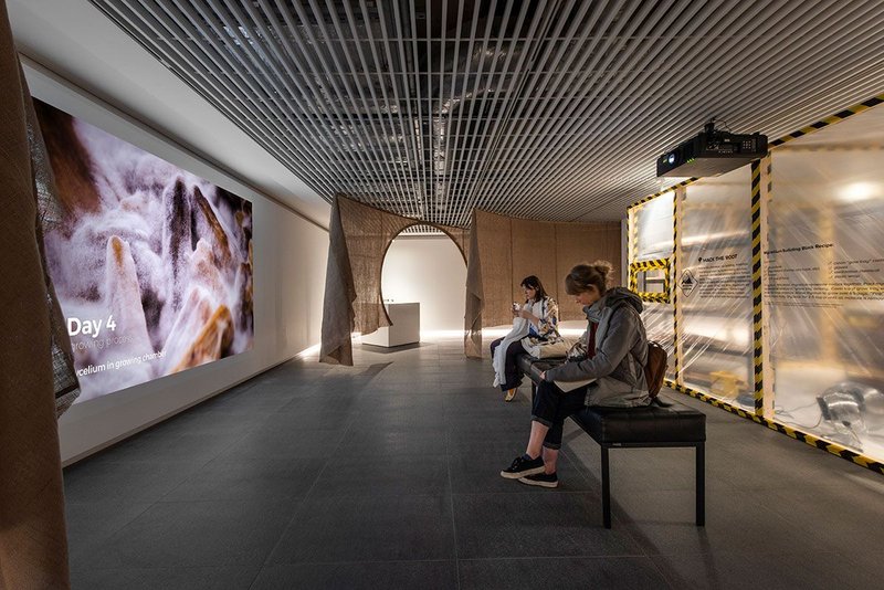 Hack The Root, an installation by Mae-ling Lokko at RIBA North as part of the Liverpool Biennial. To the right is the grow chamber.