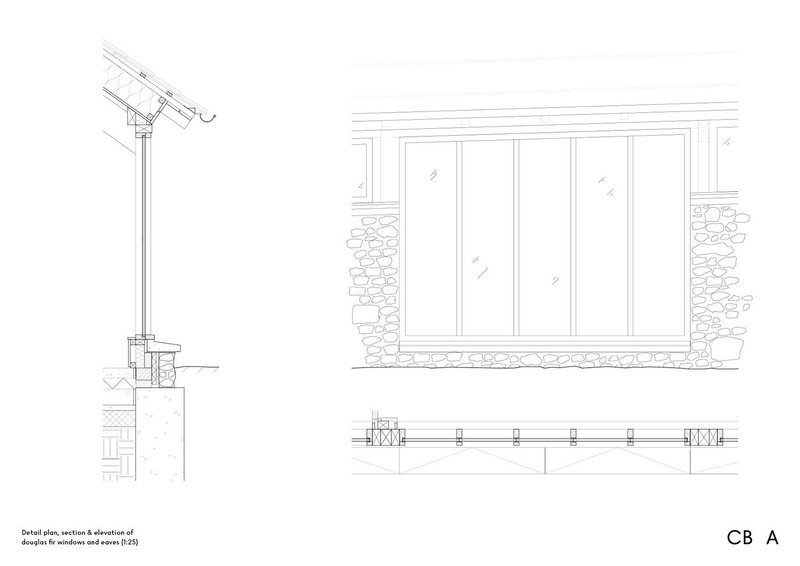 Douglas fir windows and eaves details.