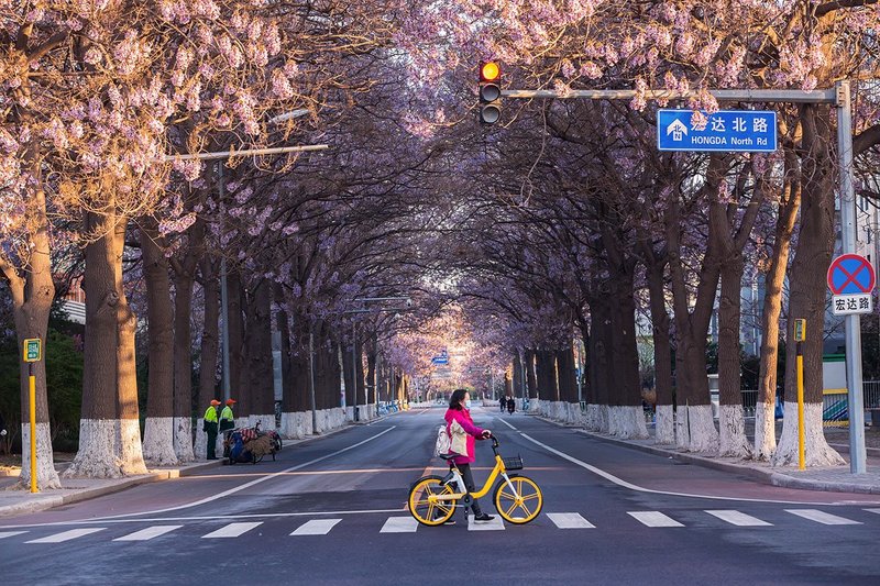 Bejing spring.