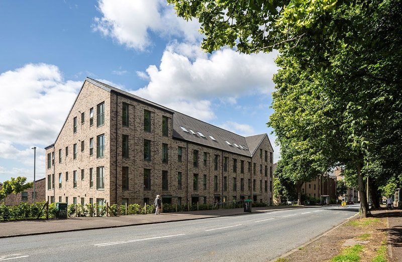 Ellengowan Regeneration.