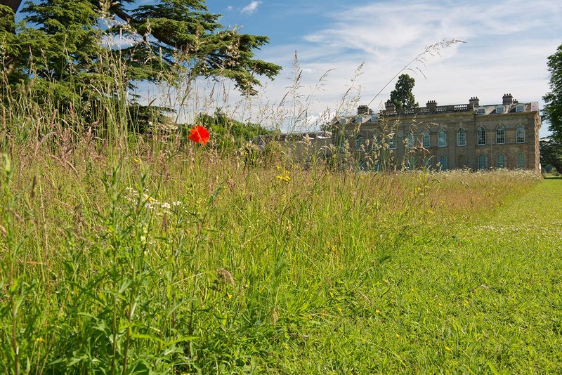 Close-up of the parterre. Copyright Compton Verney.