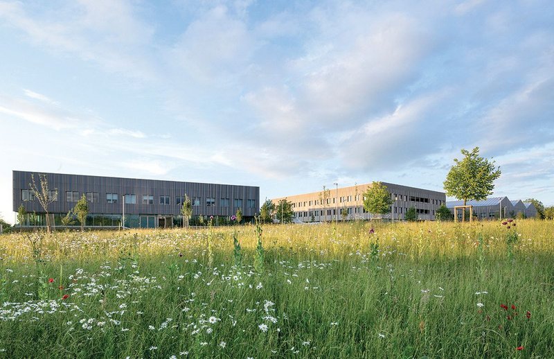 TWI’s latest iteration: Two pavilions and  a shed, all clad in vertically hung ceramic baguettes stretching out into the old meadowland of its Abington Hall site.