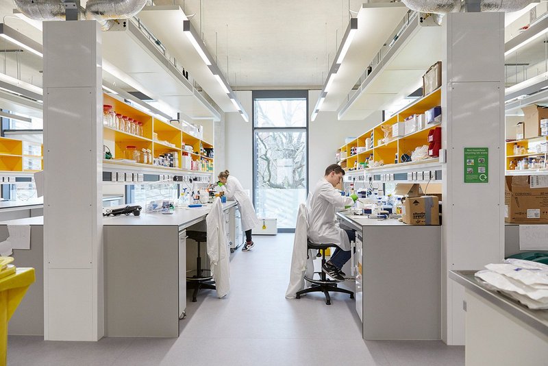 Hopkins Architects designed the Pears Building at London’s Royal Free Hospital to be open and un-siloed so scientists can engage more with the outside world – and each other.