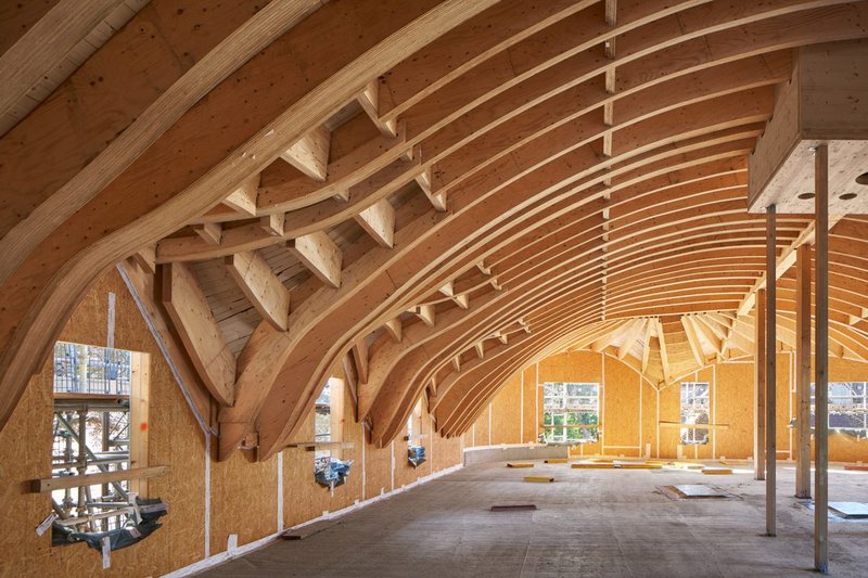 David Kohn Architects collaborated with Swiss timber specialist Blumer Lehmann on the roof of Gradel Quadrangles, New College, Oxford.