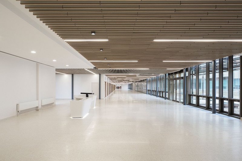 Clad in a standard Schueco aluminium glazing system, the 8m wide internal spine picks up on the external baguettes with hanging acoustic baffles with veneered timber on the lower face. The terrazzo floor is designed to take loaded fork lift trucks.