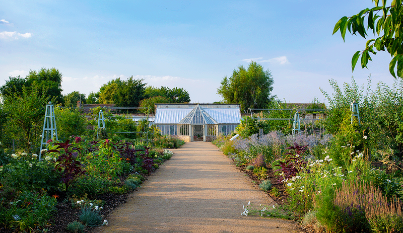 Alitex glasshouse at Ramsey Walled Garden near Huntingdon. The lean-to Victorian-style design is constructed against a south-facing brick wall to absorb and retain solar heat.