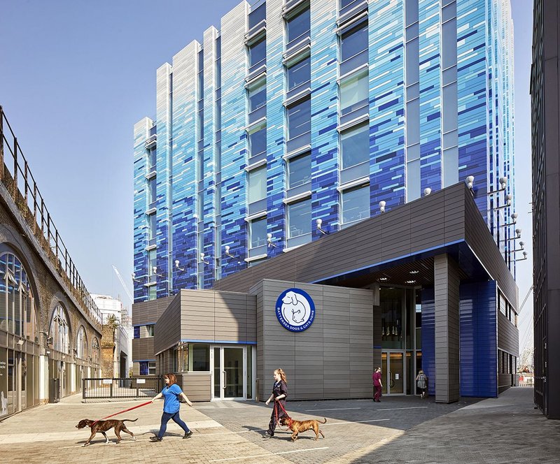 Battersea dogs outlet home shop