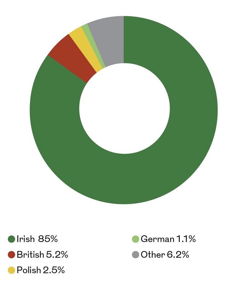 Proportion of architects on the RIAI register.