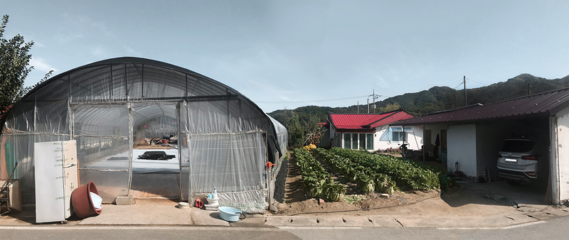 A family unit in Yugok-ri and its spatial changes: vinyl-greenhouse (left), house with veranda extension (centre), vegetable garden (centre), extended storage unit (right).