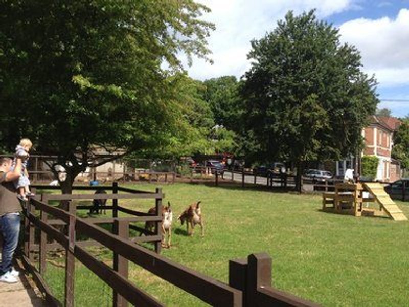 St Werburghs City Farm, Bristol.